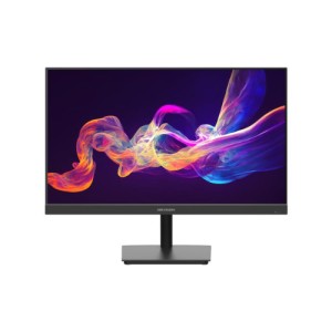 24 inch FHD 100Hz IPS Monitor